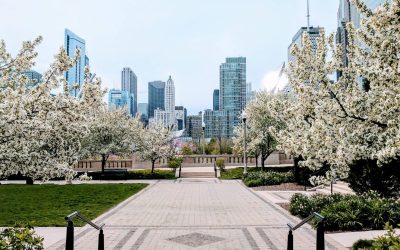 Spring in Chicago: Why It’s the Perfect Time to Visit (and How to Get There Stress-Free)